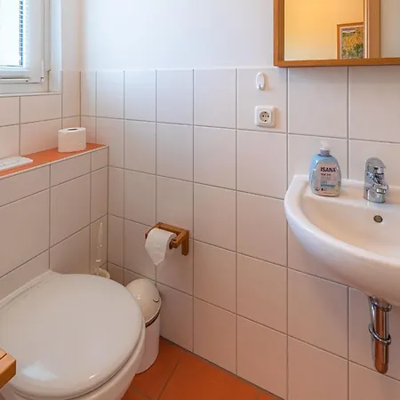 Sonnenblume_dh Röbel